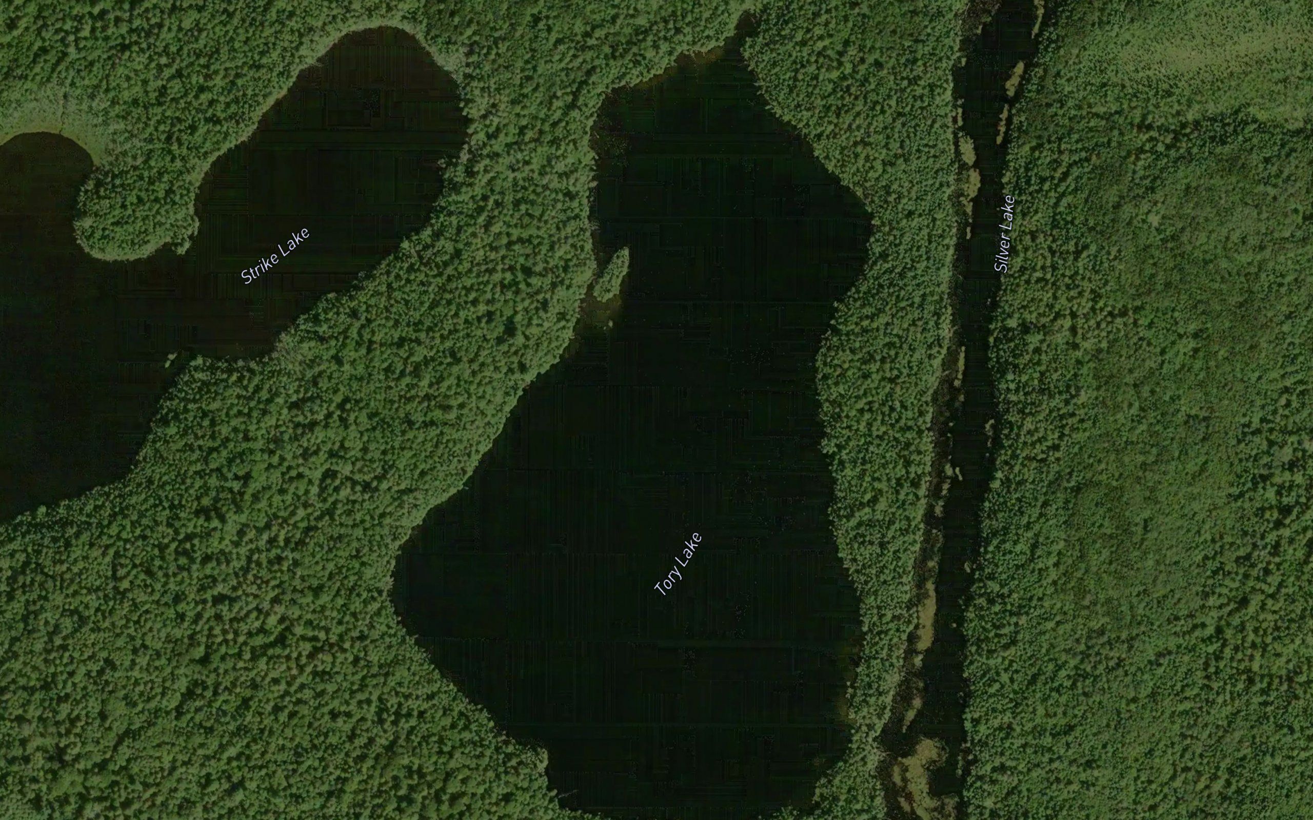 Tory Lake