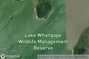 Whangape Lake