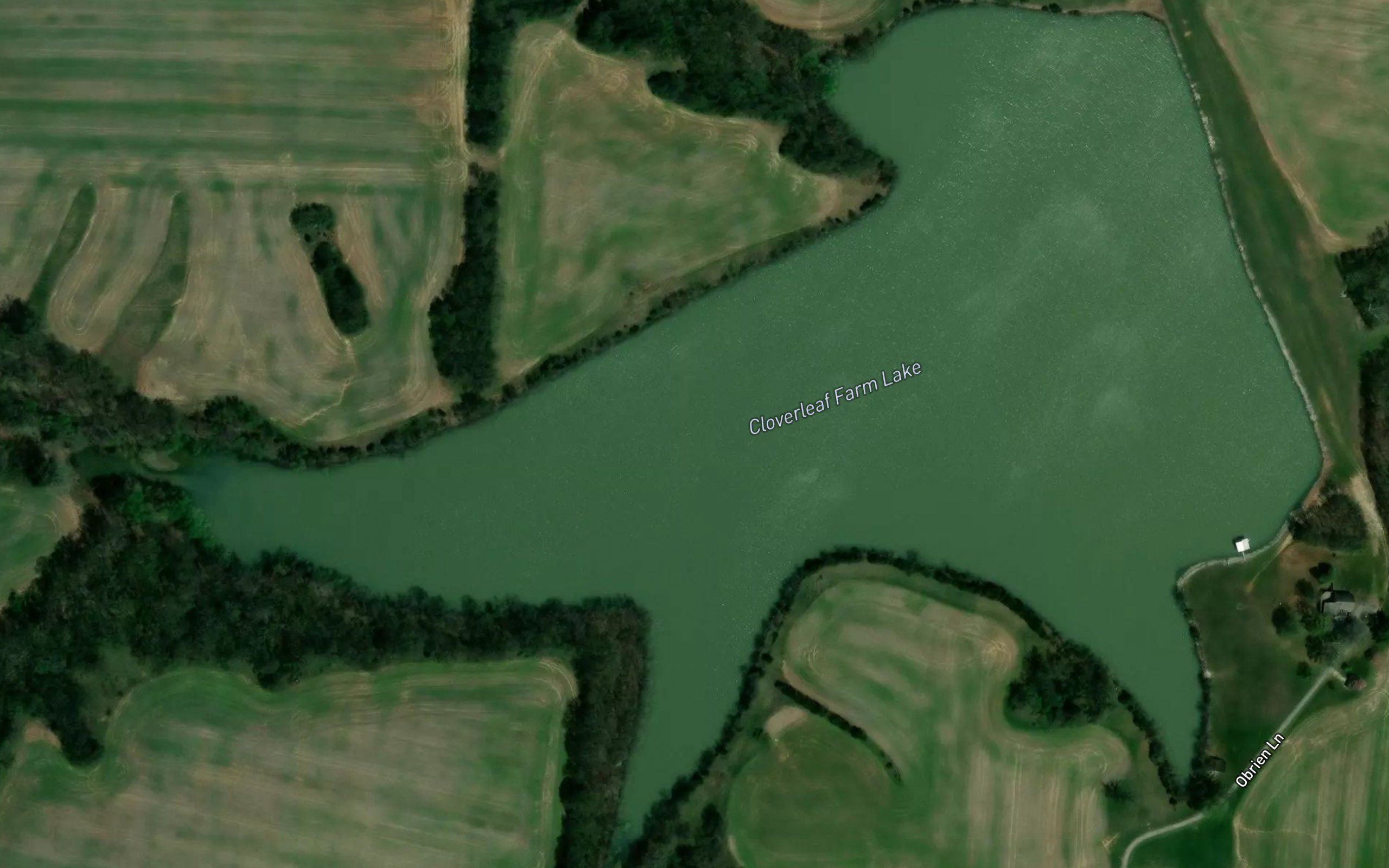 Cloverleaf Farm Lake