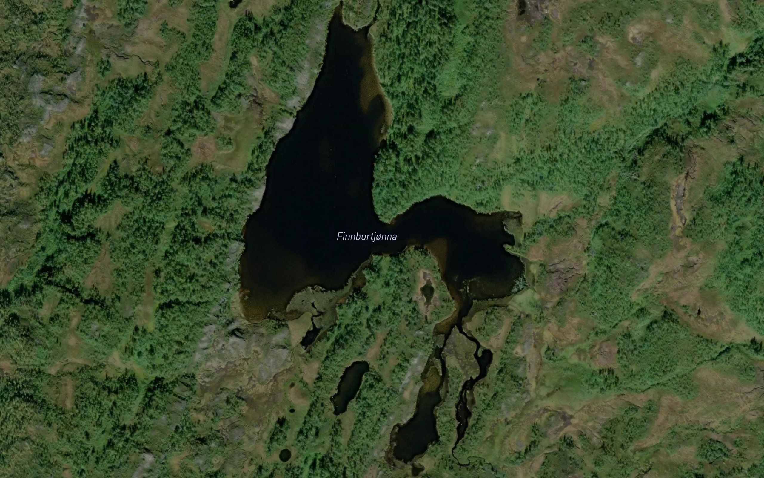 Finnburtjorna