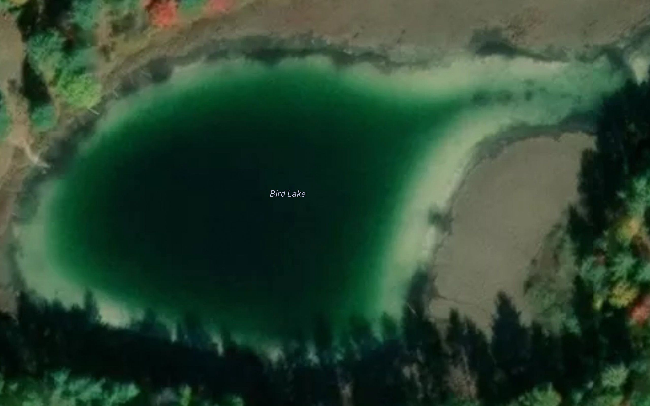 Bird Lake