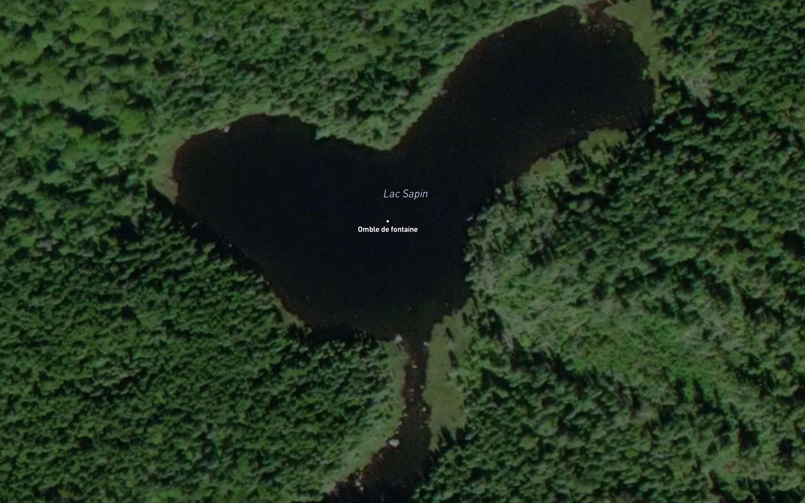 Lac Sapin