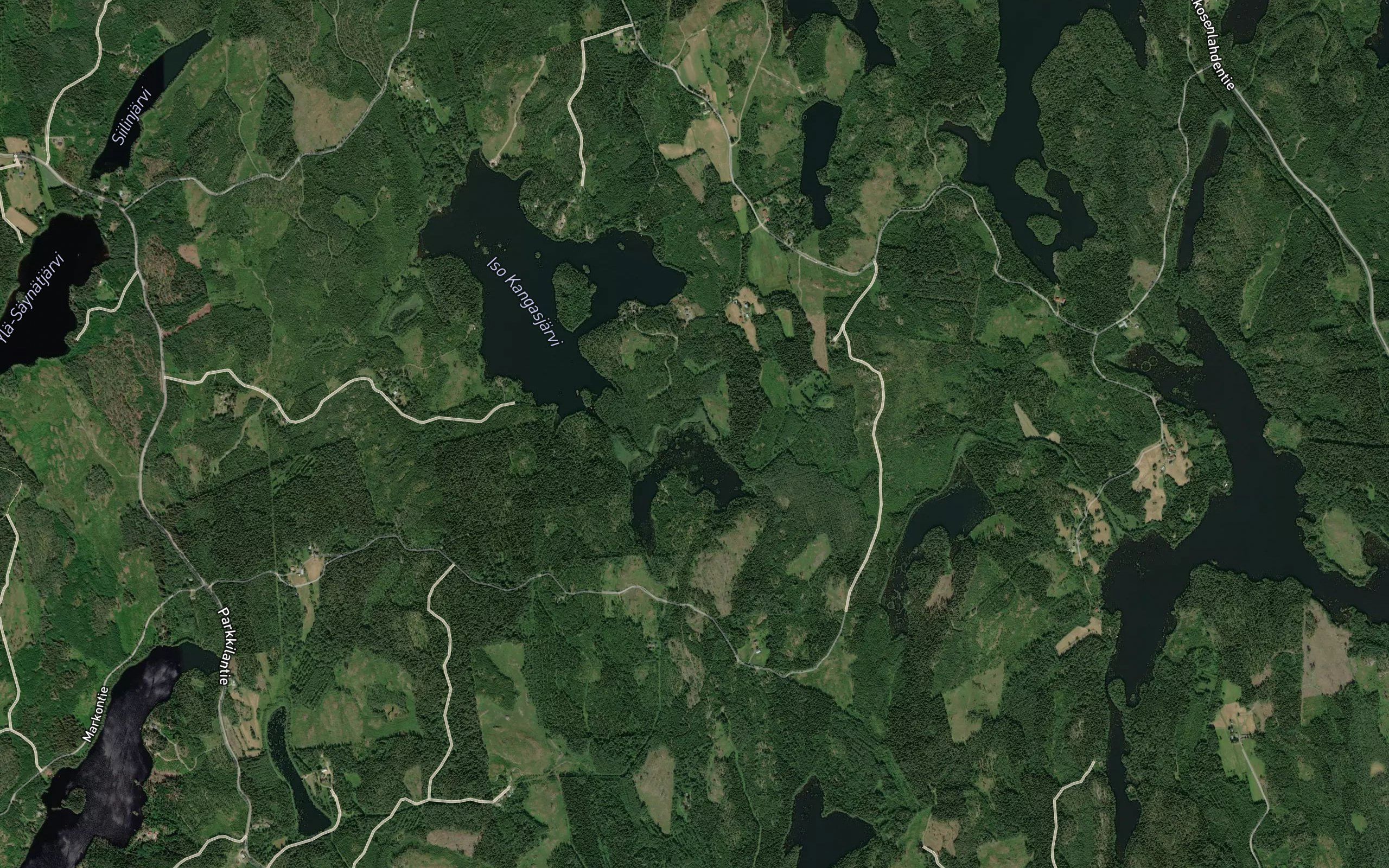 Sammakkolahti