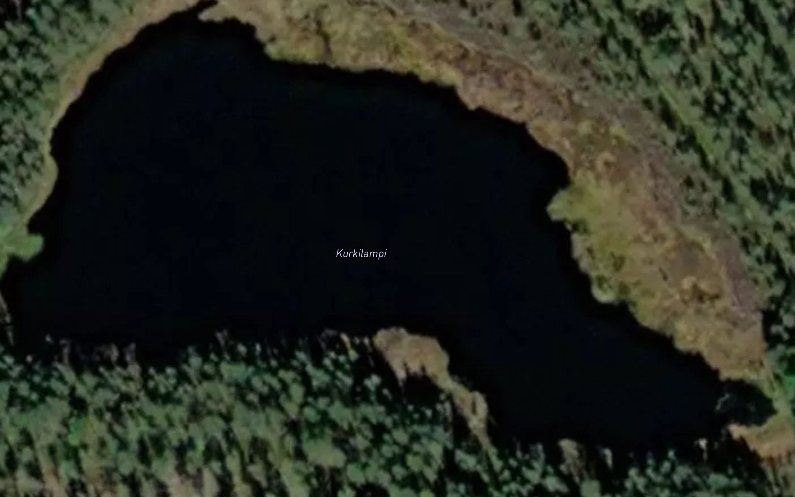 Kurkilammit