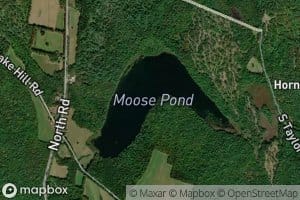 Moose Pond