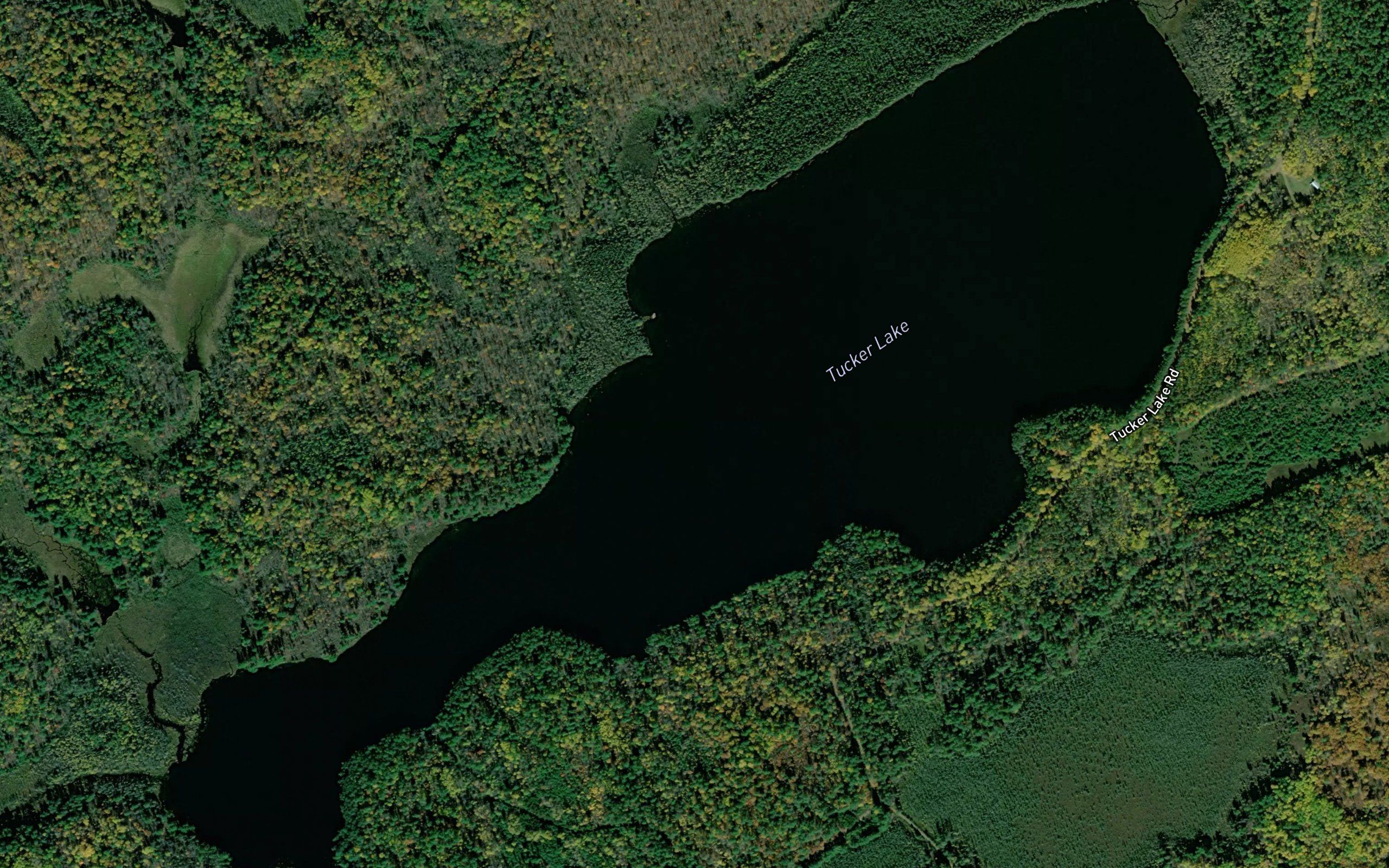 Tucker Lake