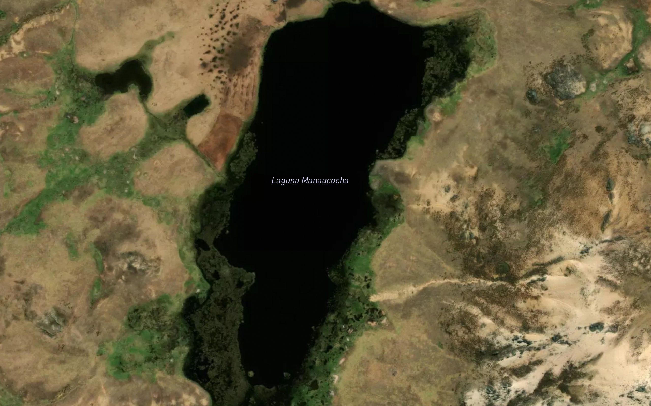 Laguna Manaucocha