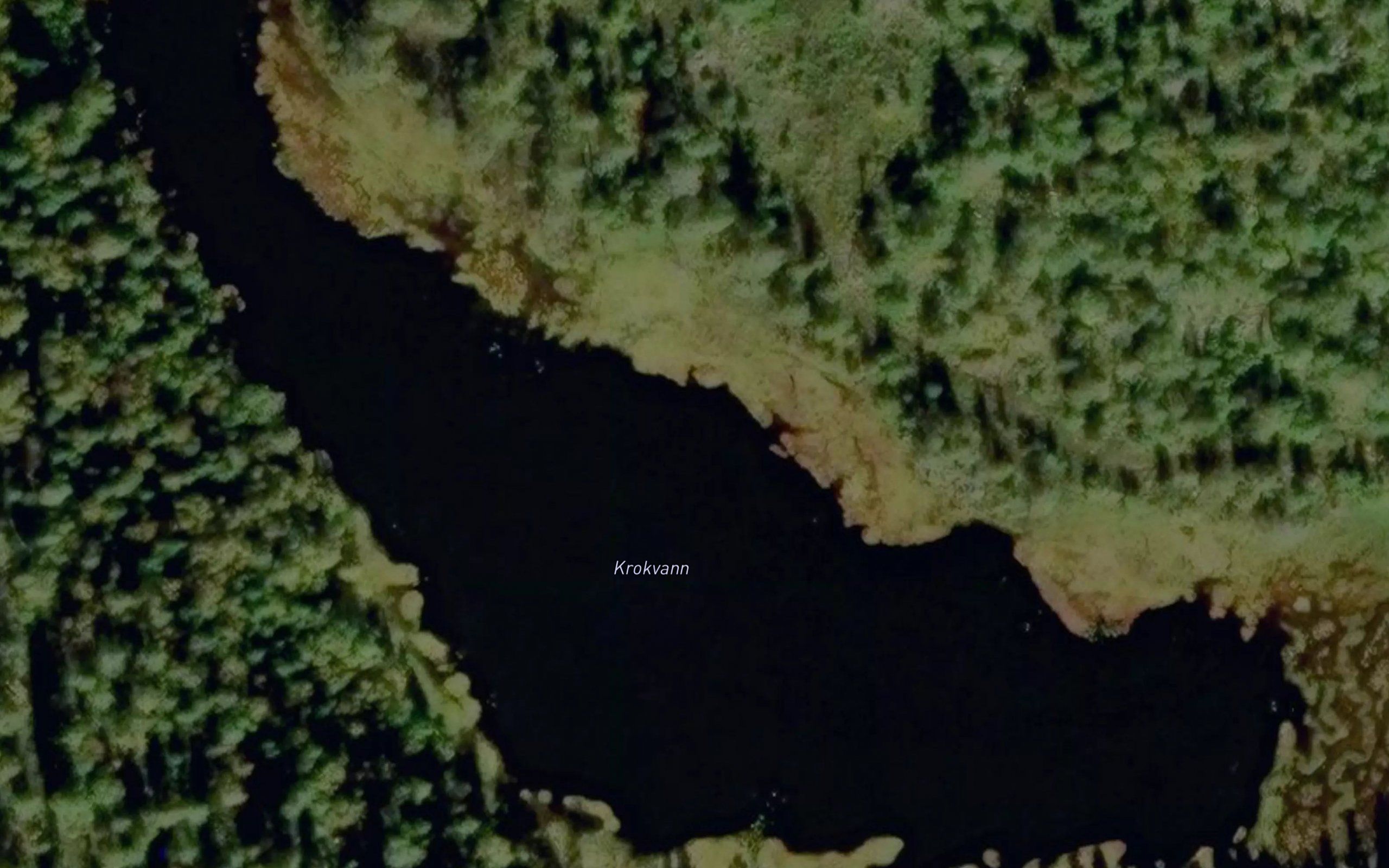 Krokvann