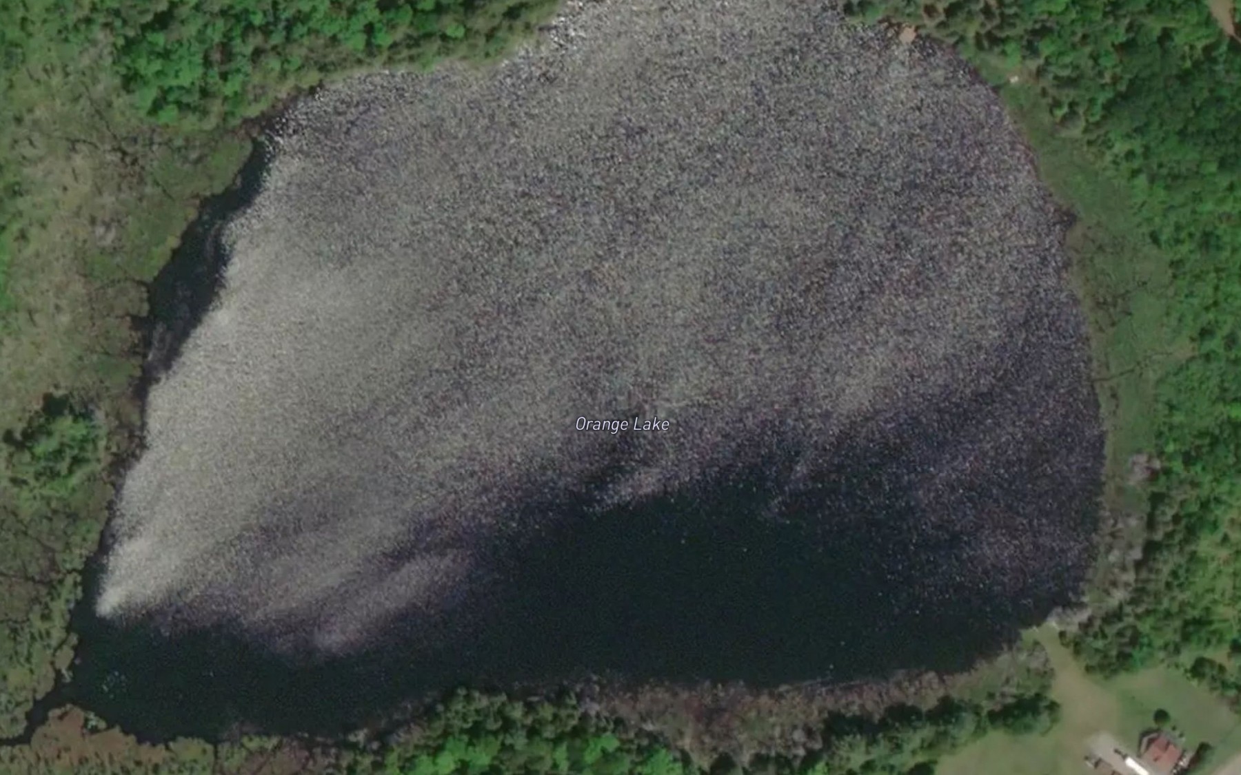 Satellite map of the Orange Lake