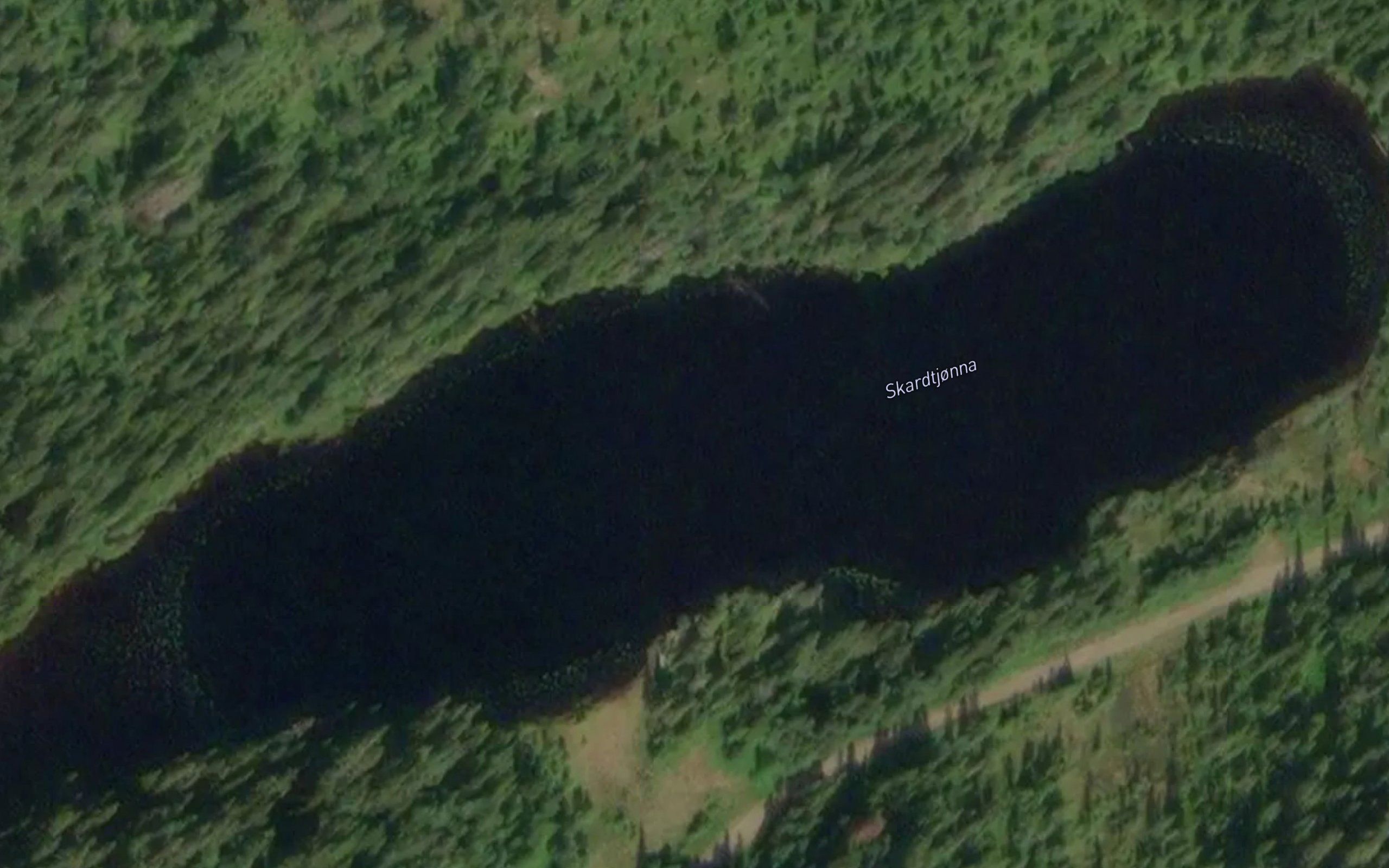Skardtjorna