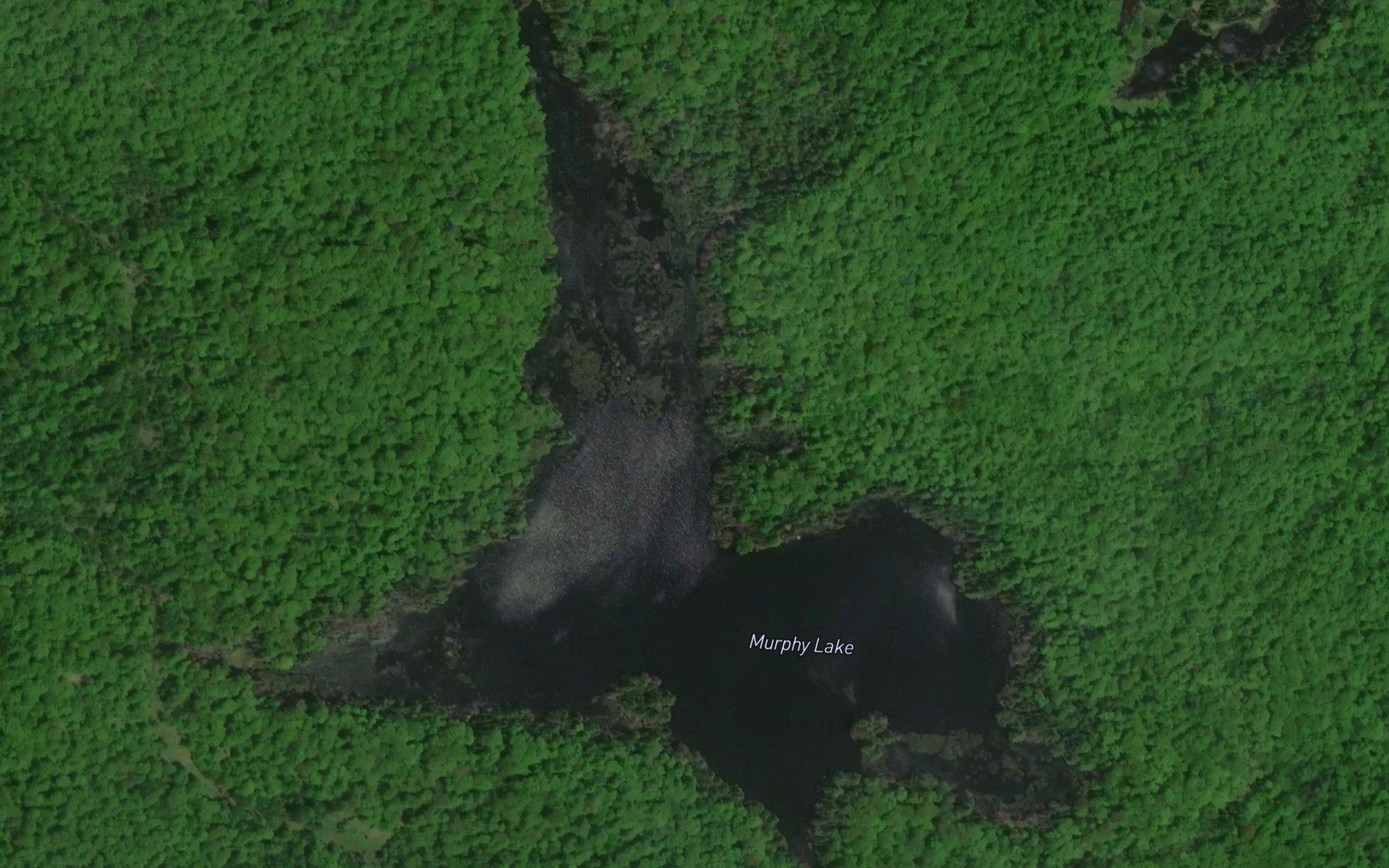Satellite map of the Murphy Lake