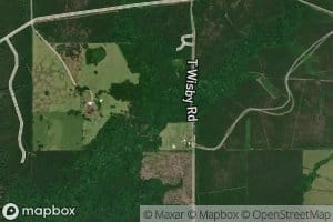 West Branch Black Creek