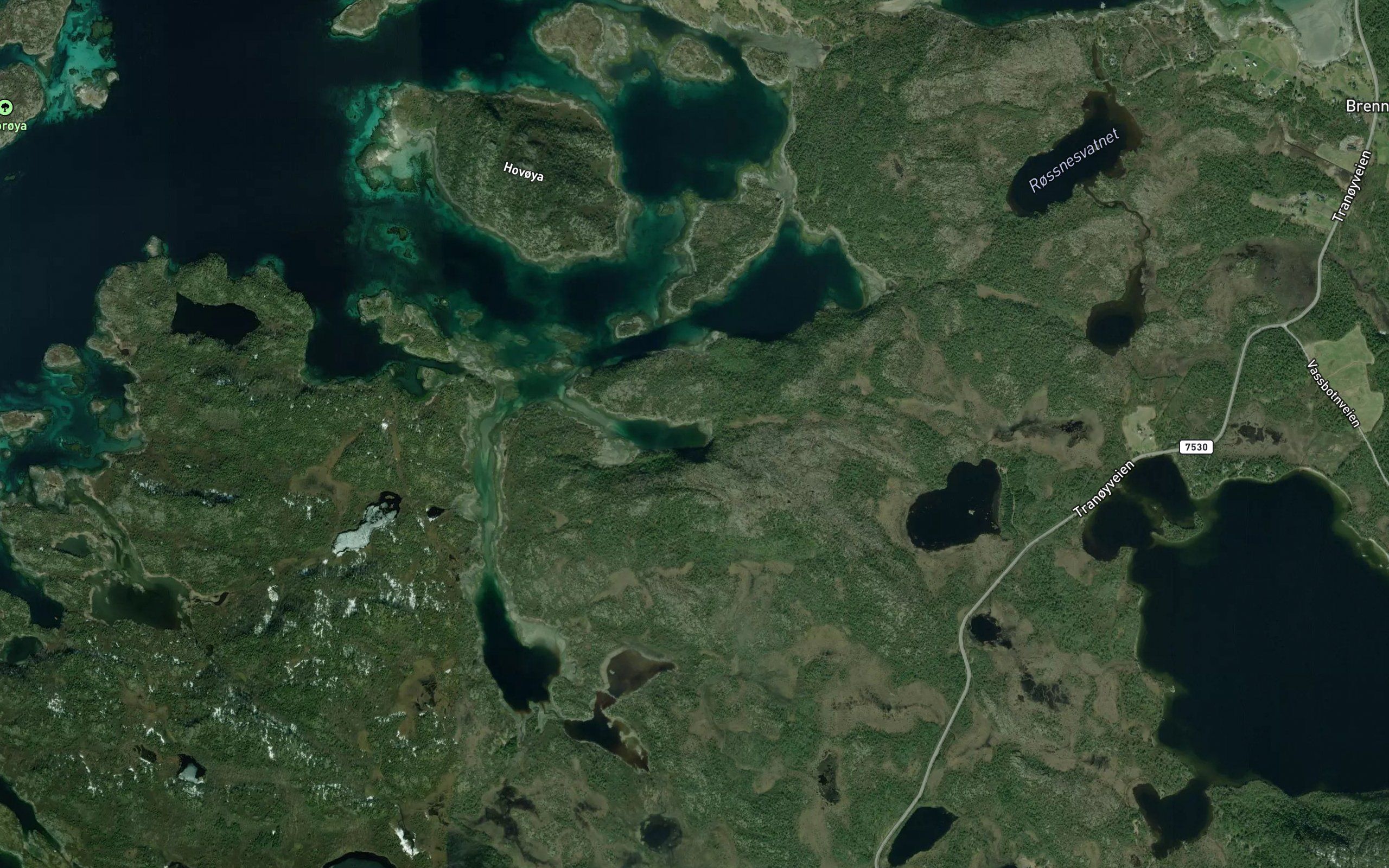 Skjelpollen