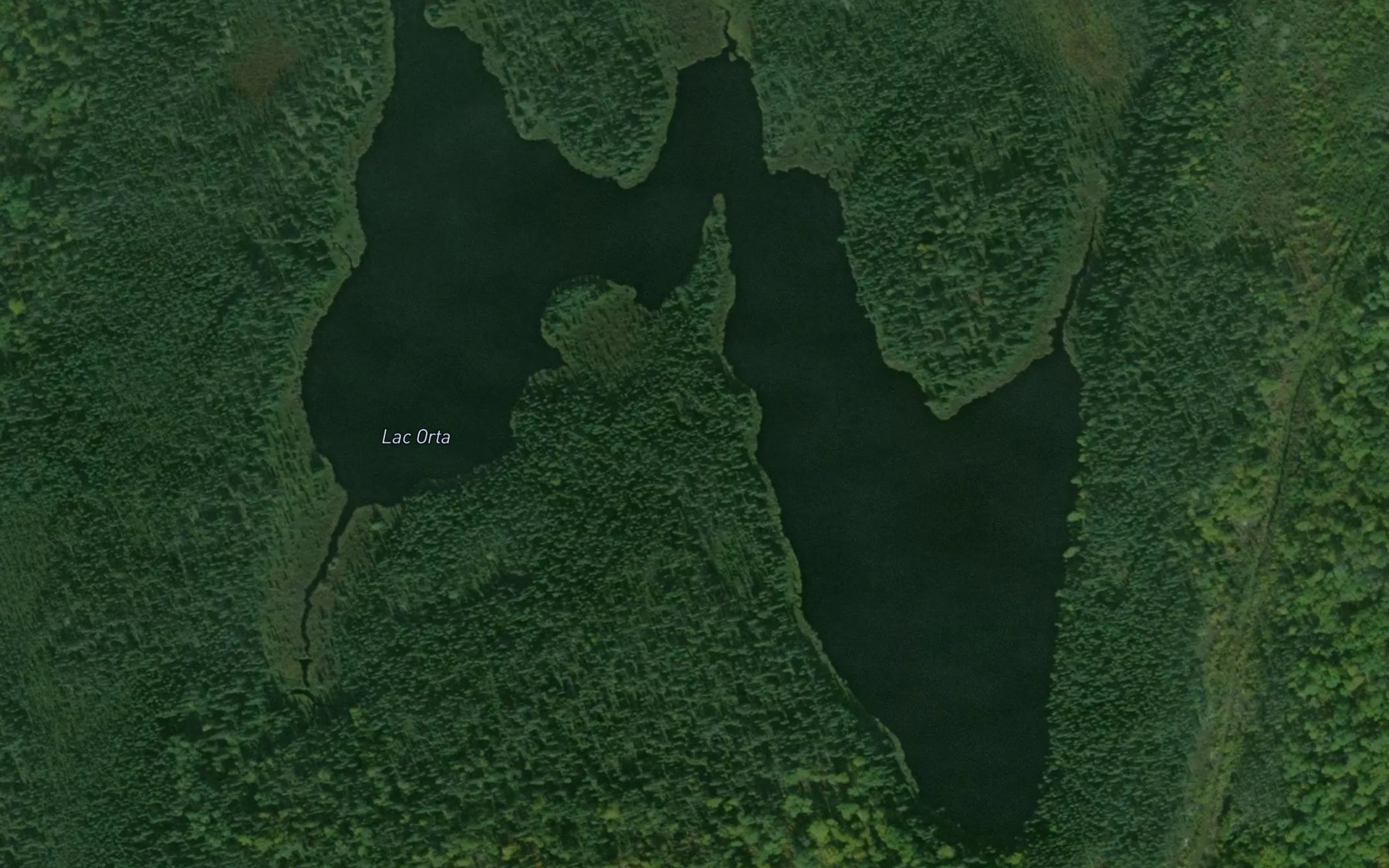 Satellite map of the Lac Orta