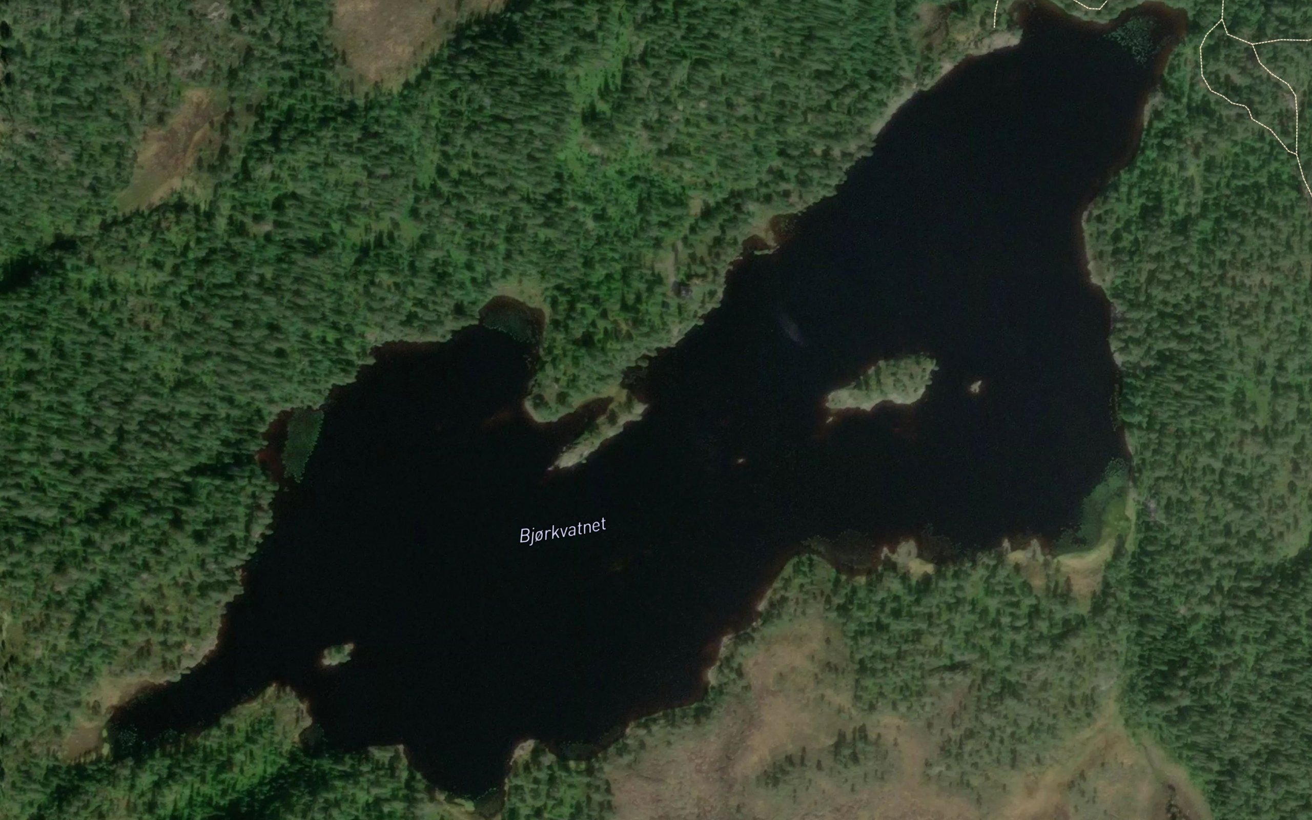 Bjorkvatnet