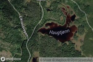 Haugetjorni