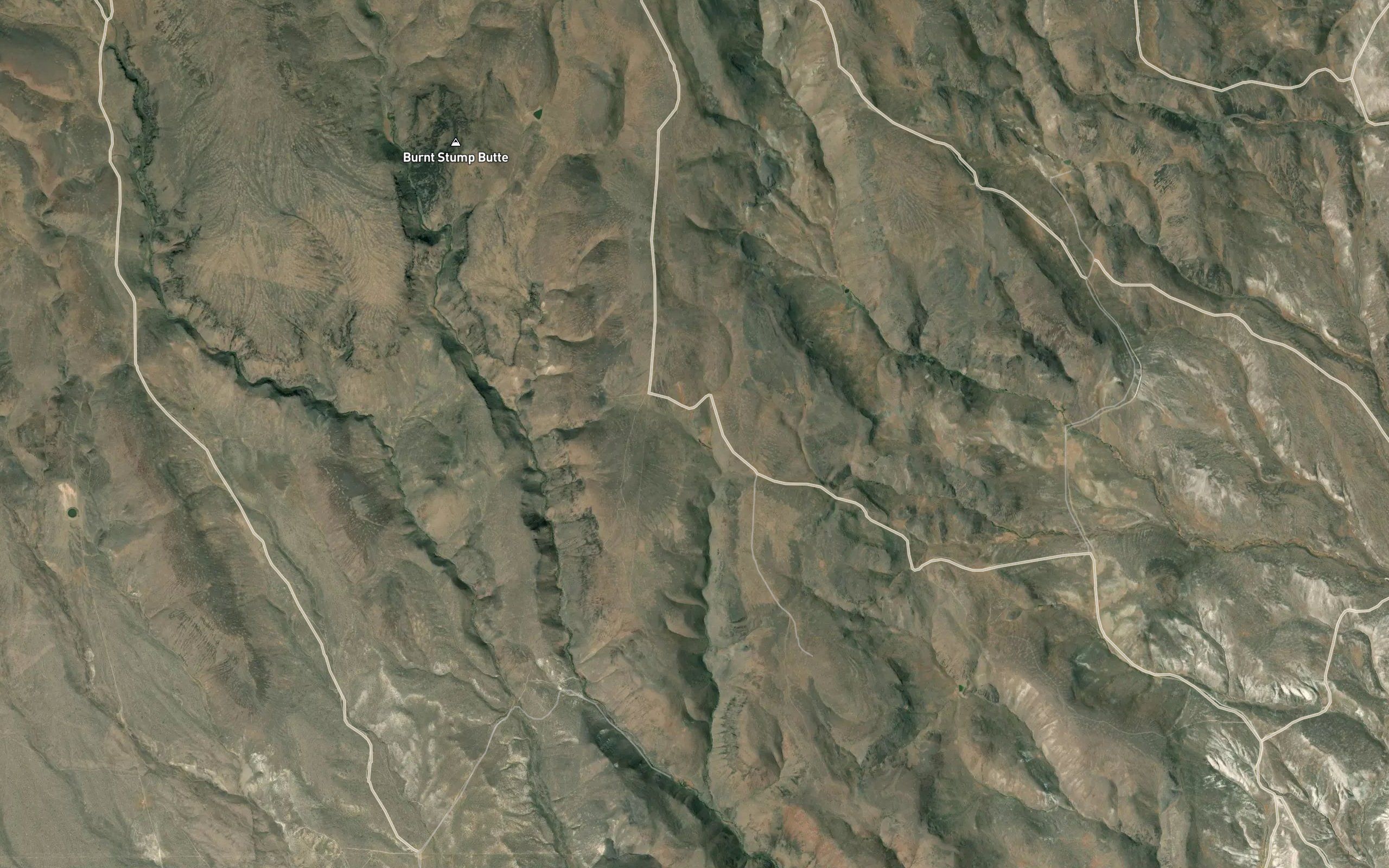 Grouse Springs