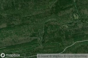 Lone Hollow Creek