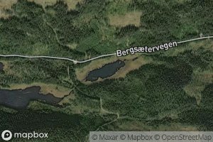 Satellite map of the Veslevatnet