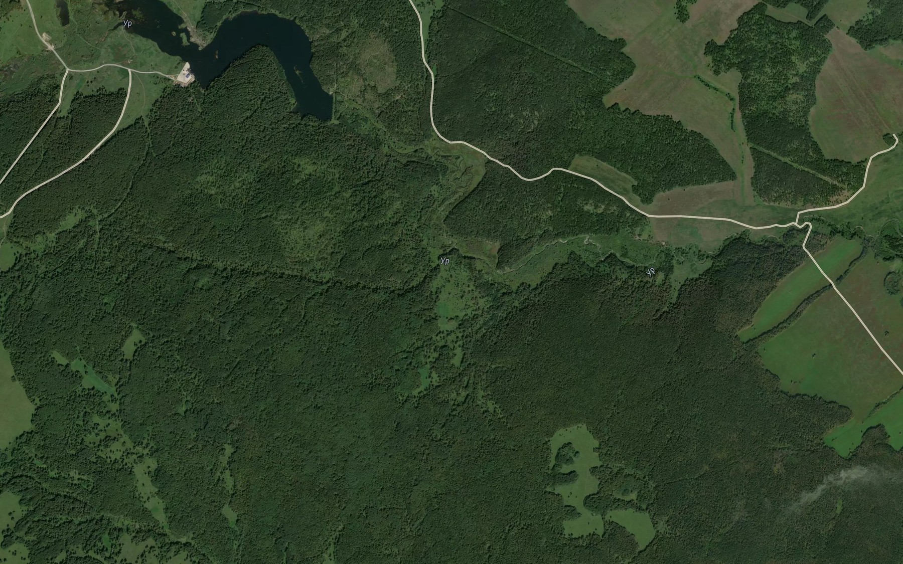 Satellite map of the Savikha