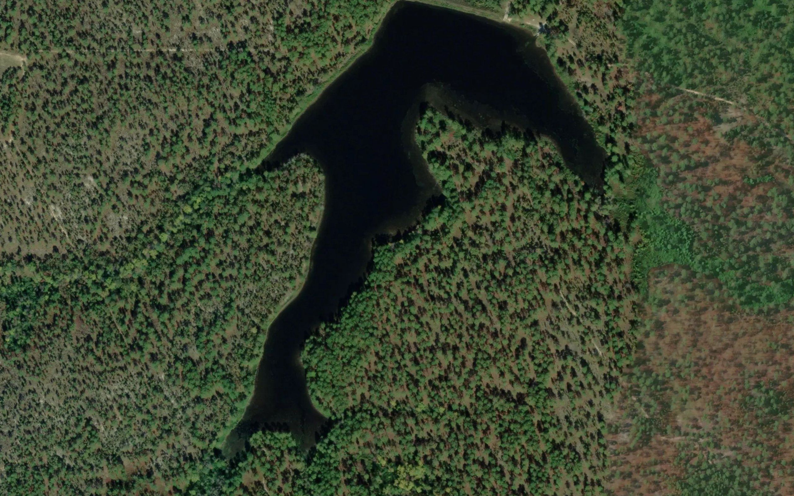 Camerons Lake