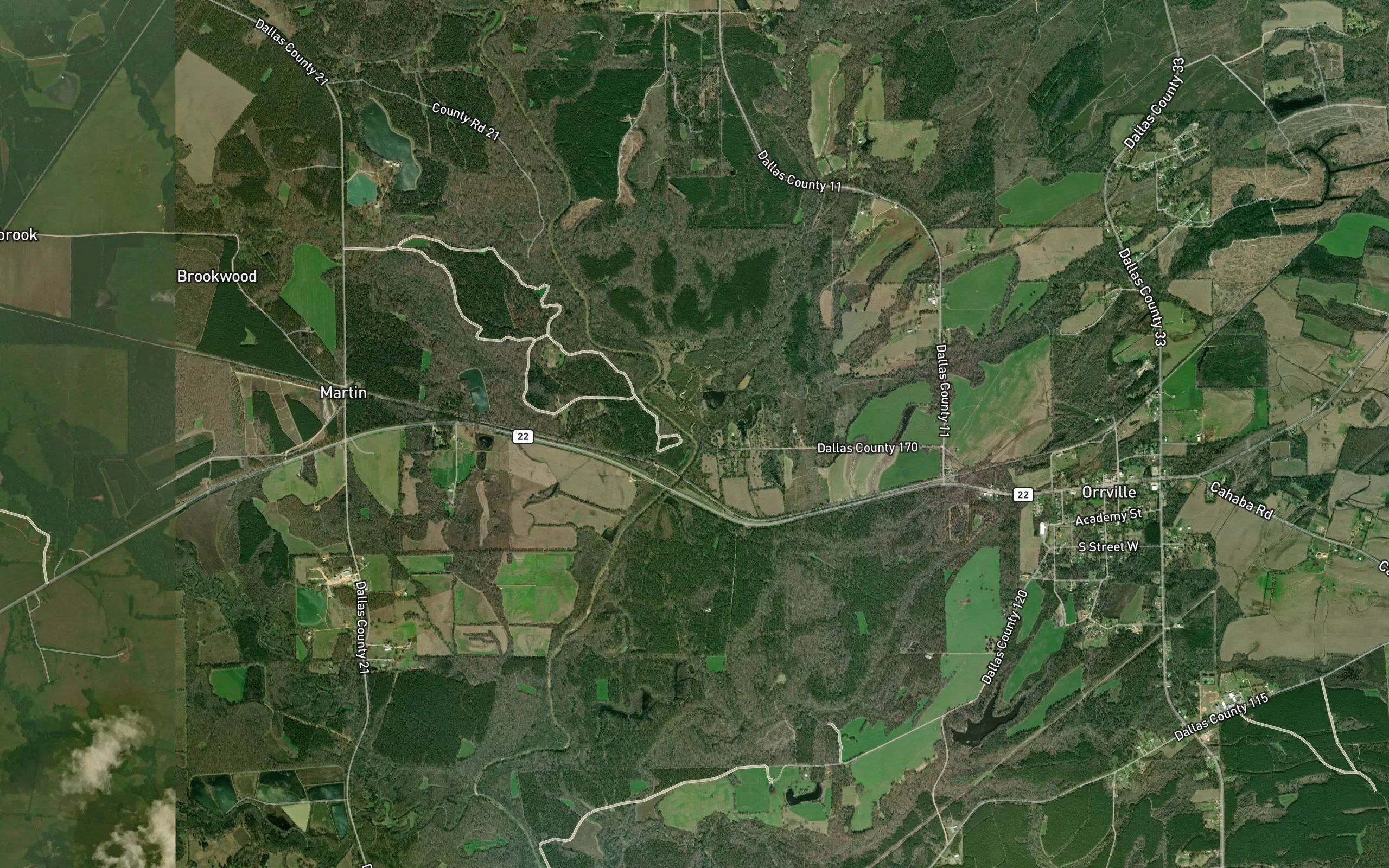 Tatum Creek