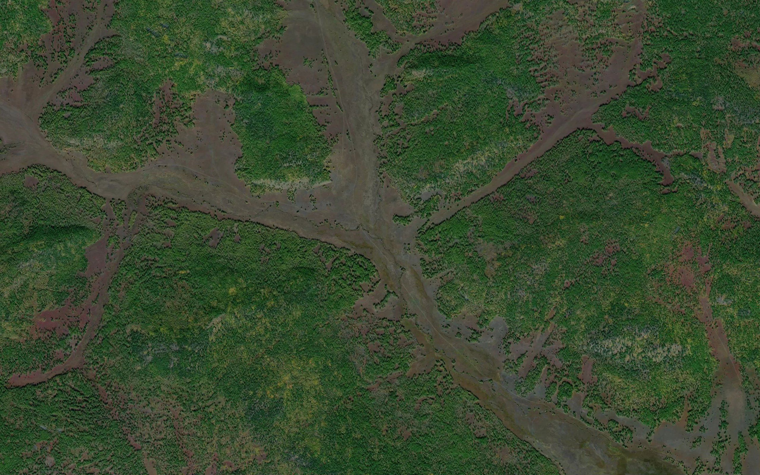 Burekhta