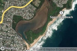 Wamberal Lagoon