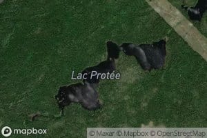 Lac Protee
