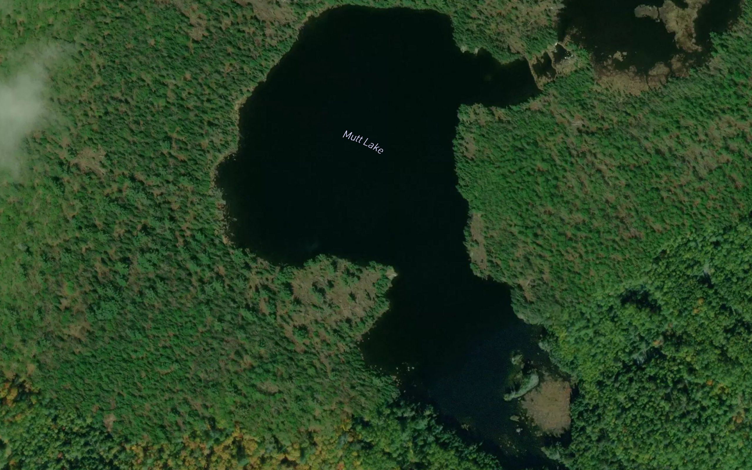 Mutt Lake