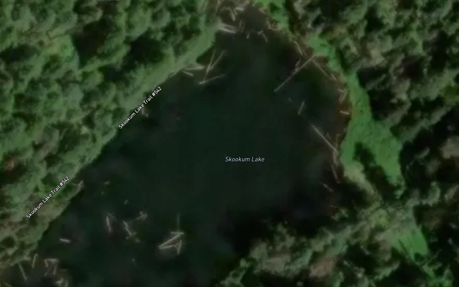Satellite map of the Skookum Lake