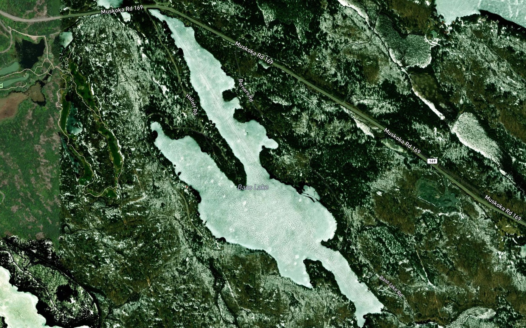 Satellite map of the Bass Lake