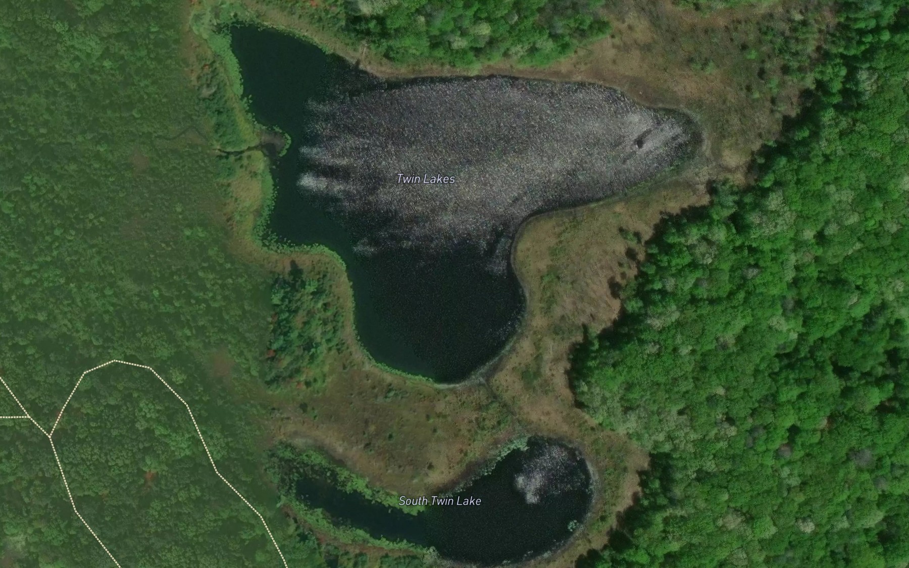 Satellite map of the Twin Lakes