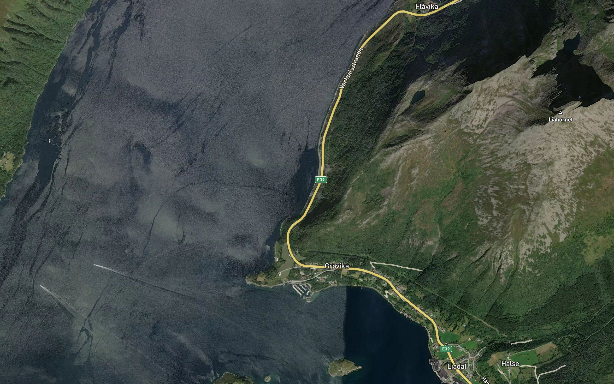 Kattavika