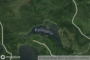 Kalliojarvi