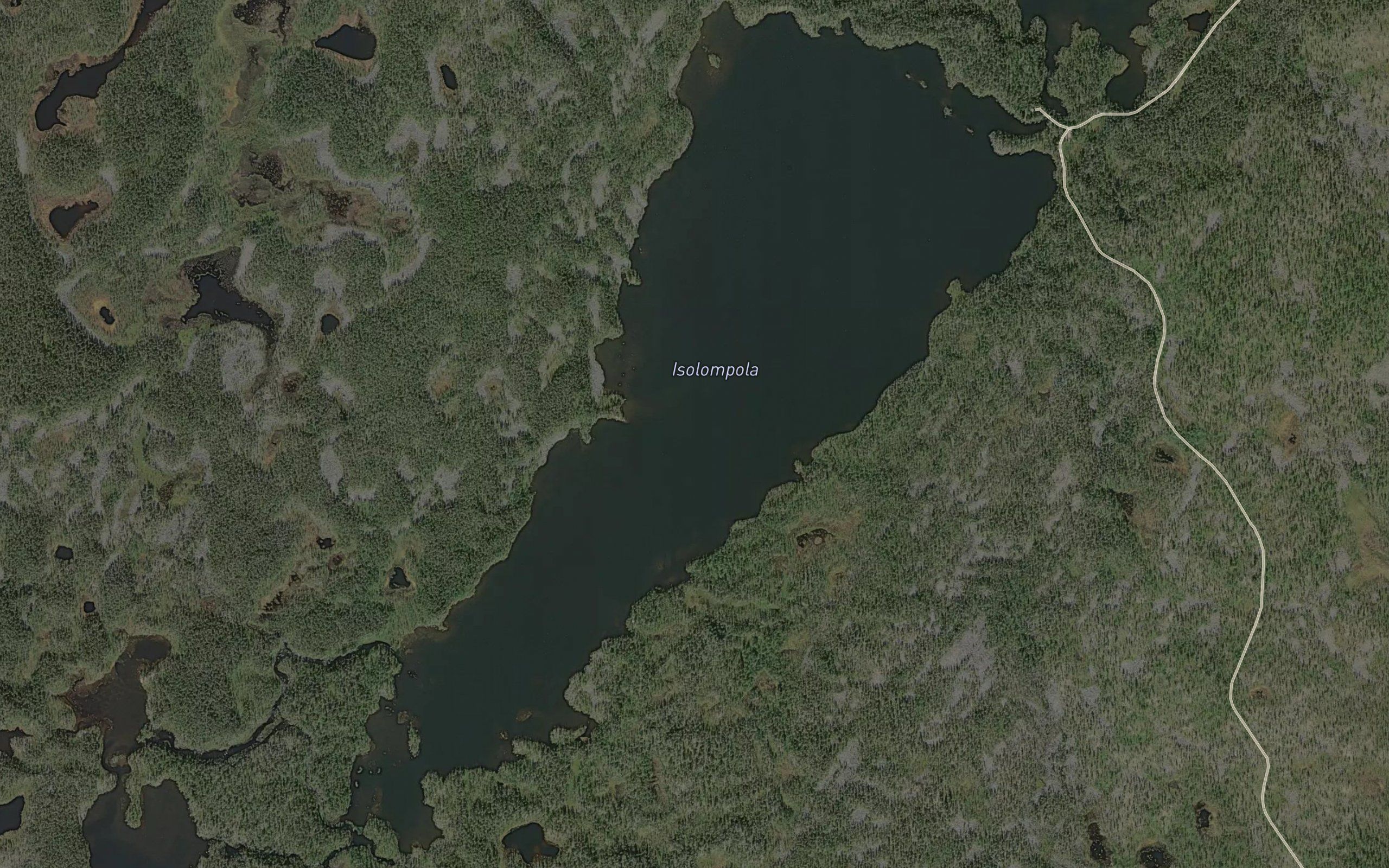 Svartbrysttjonna