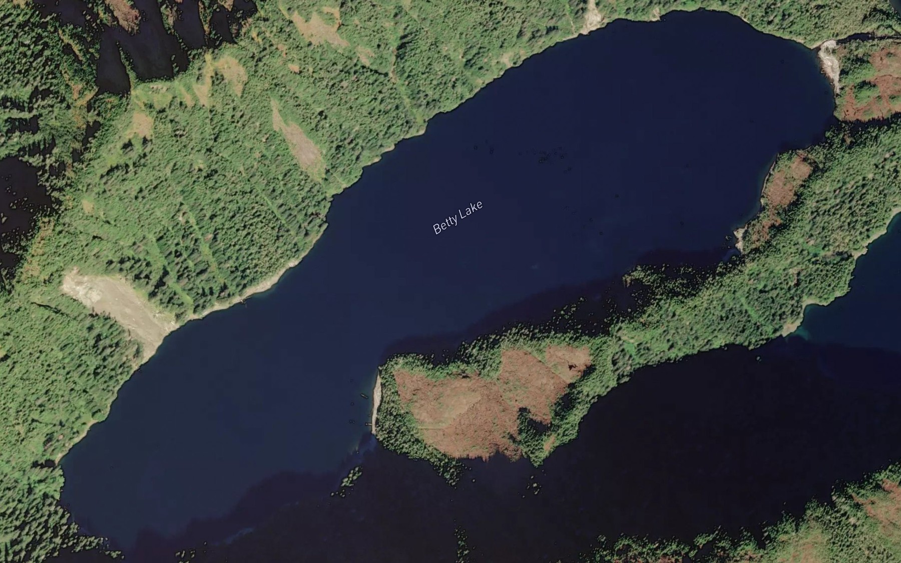 Satellite map of the Betty Lake