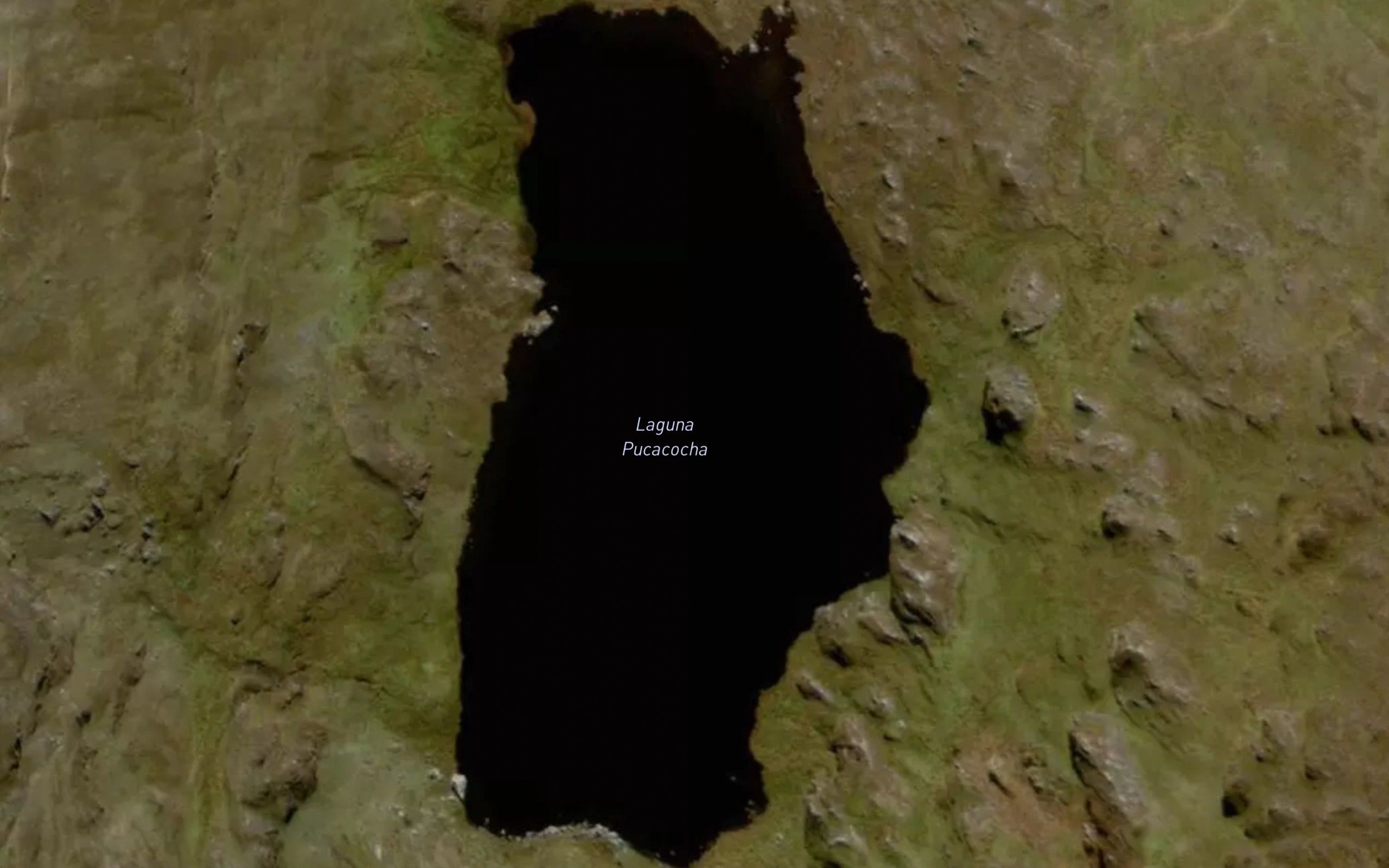 Laguna Pucacocha