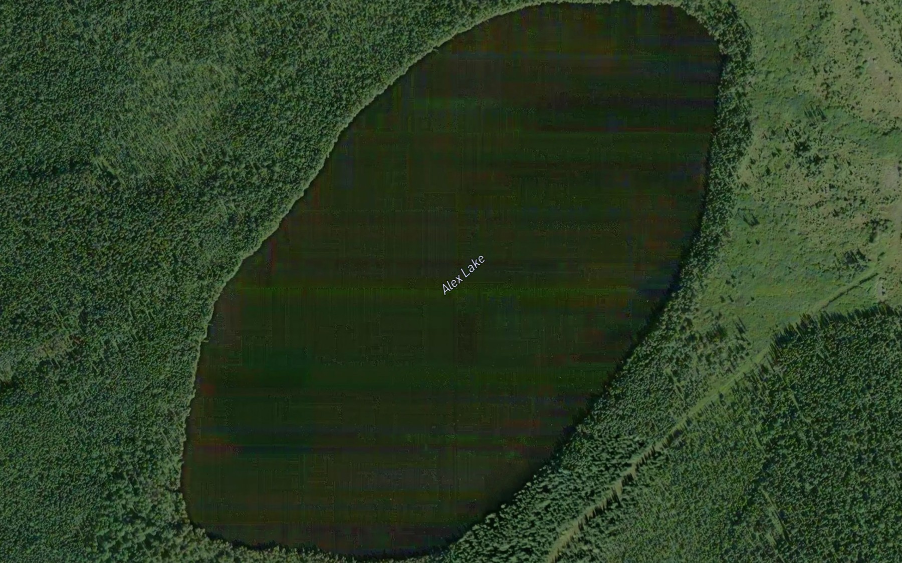 Satellite map of the Alex Lake