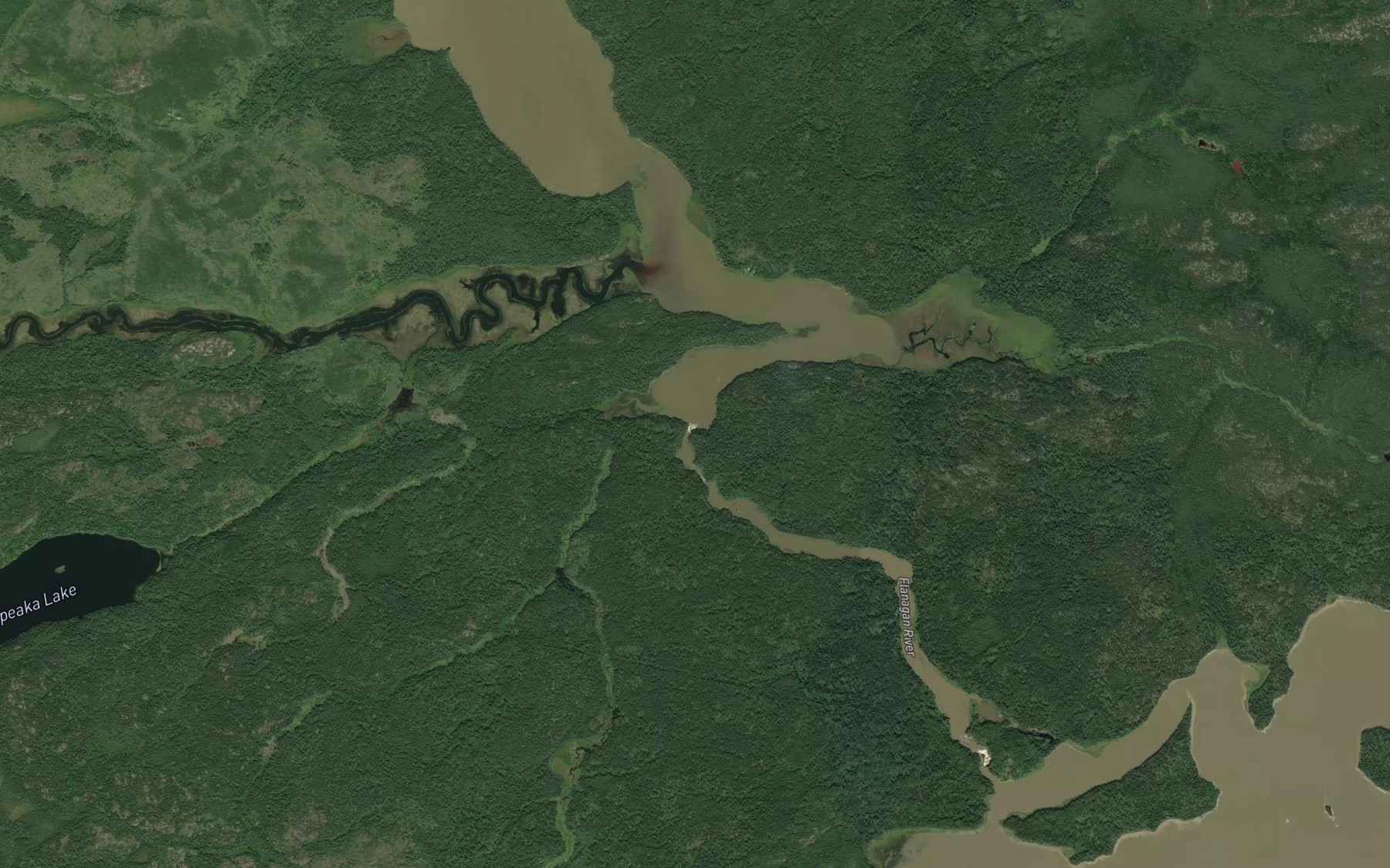 Satellite map of the Flanagan River