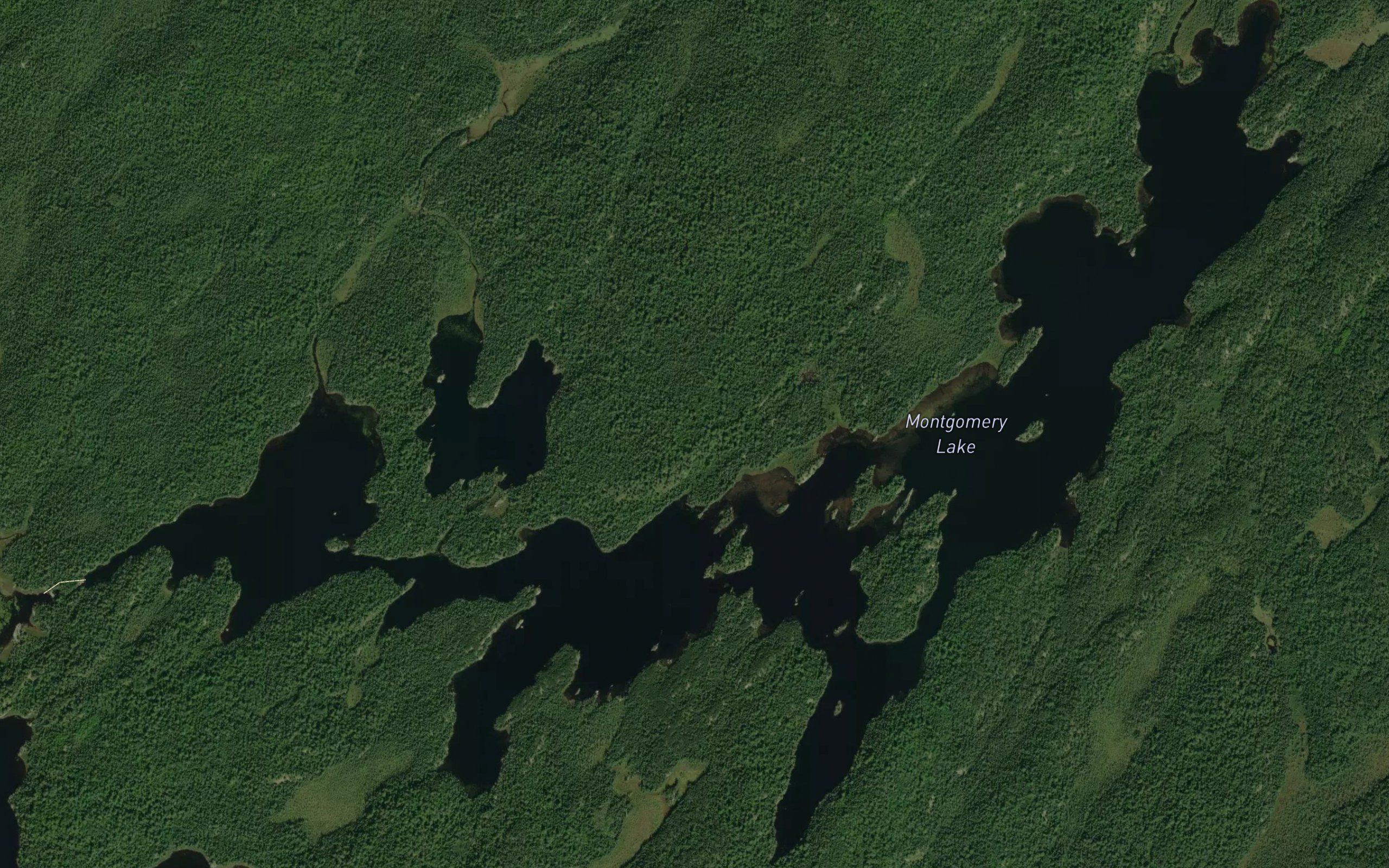 Montgomery Lake