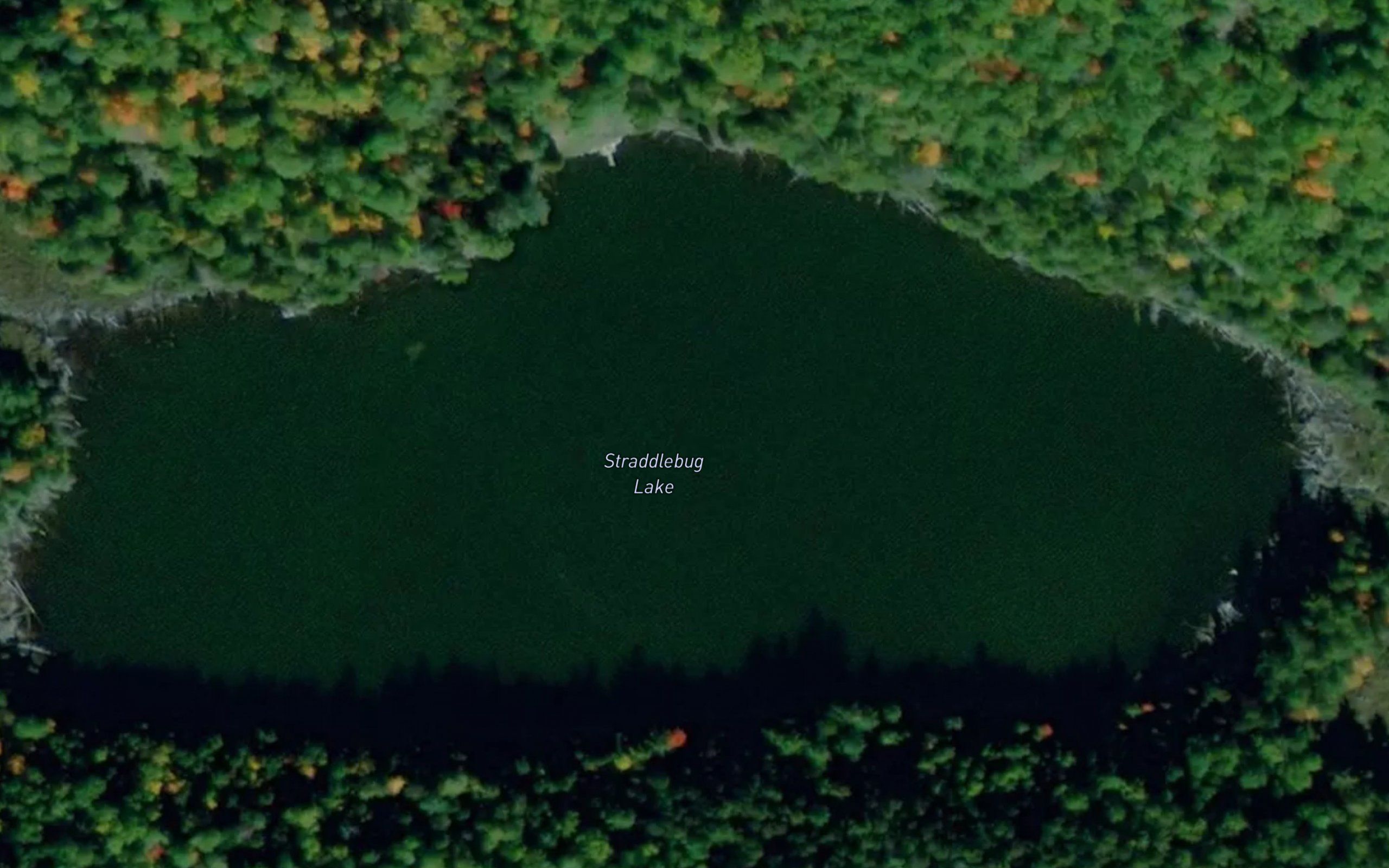 Straddlebug Lake