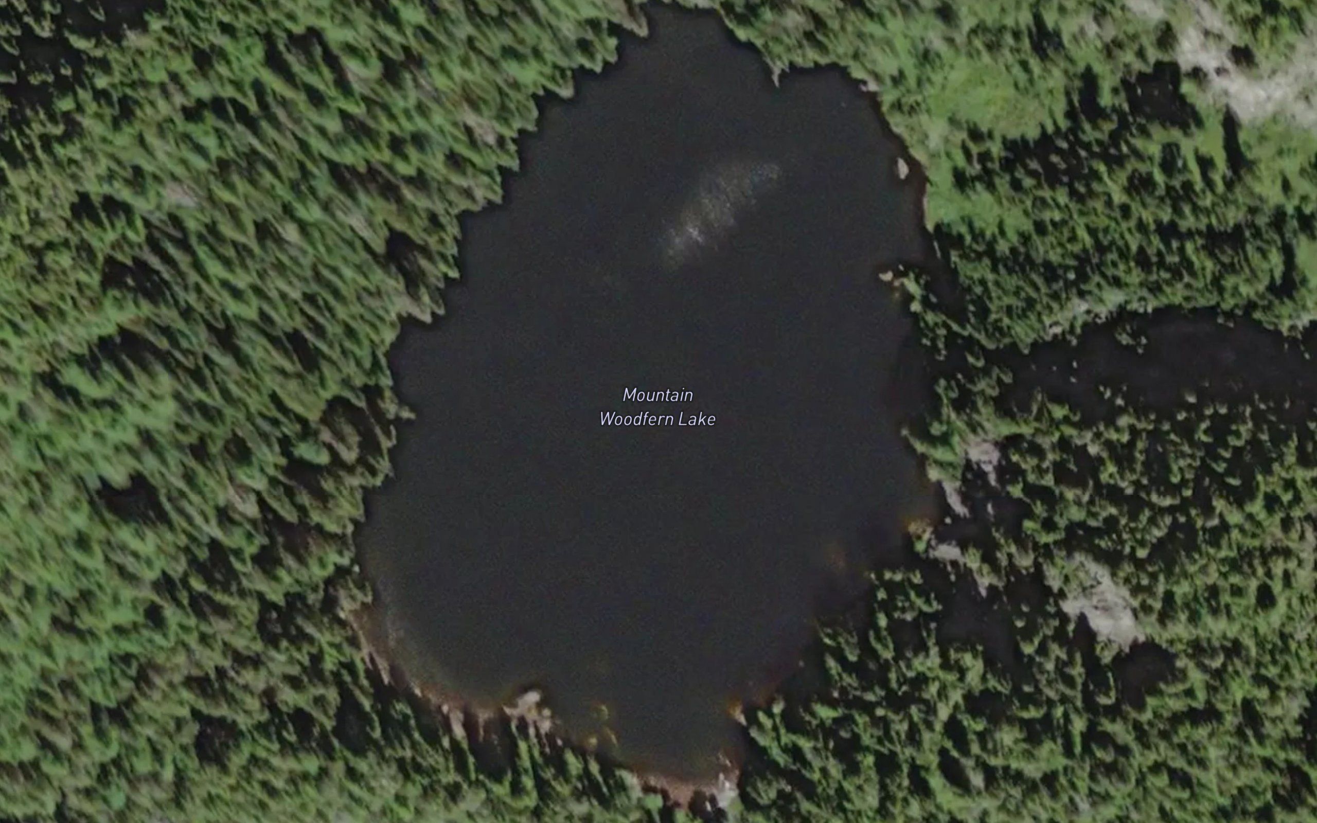 Mountain Woodfern Lake