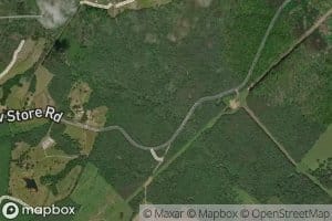 Tongue Quarter Creek