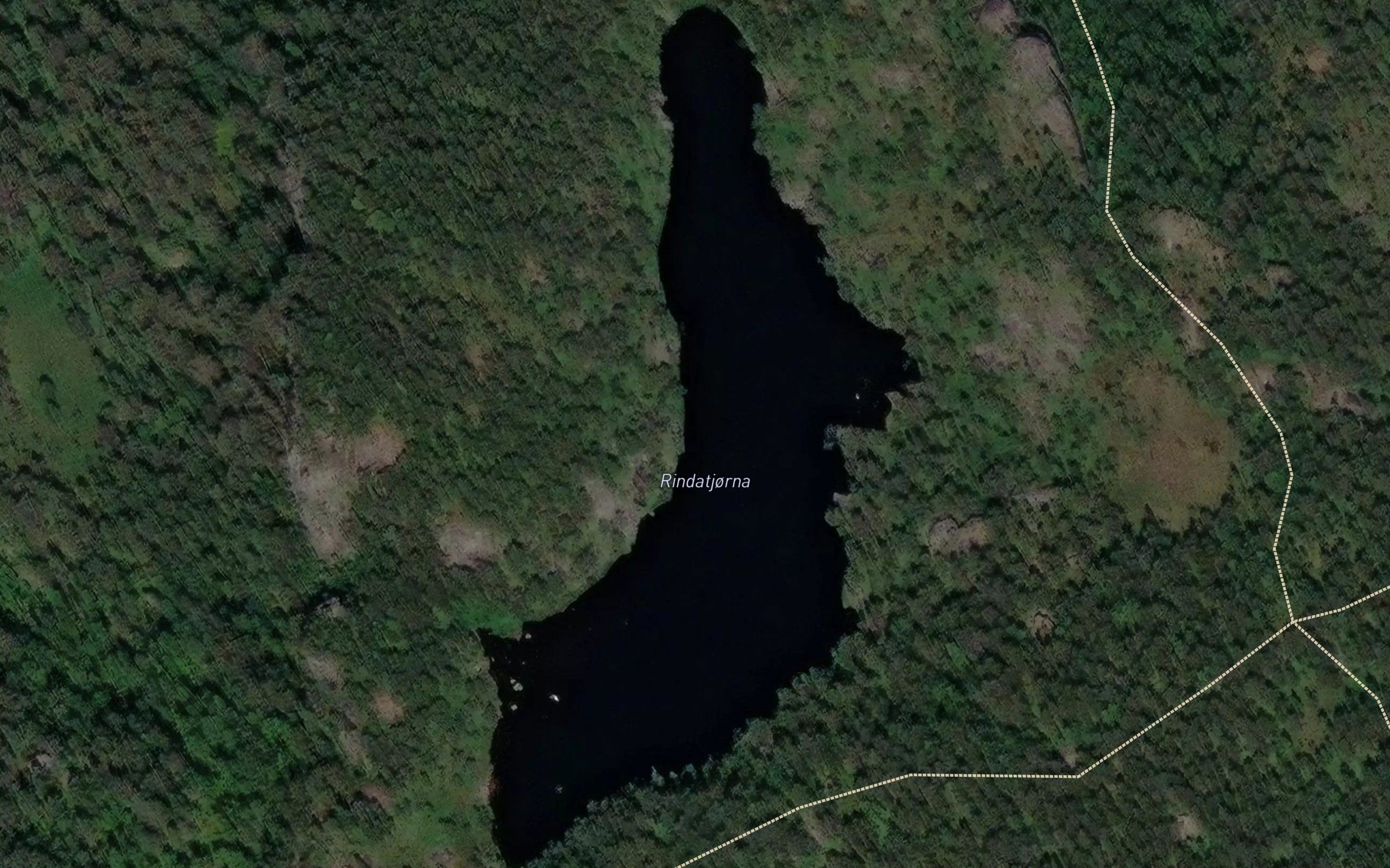 Rindatjorna