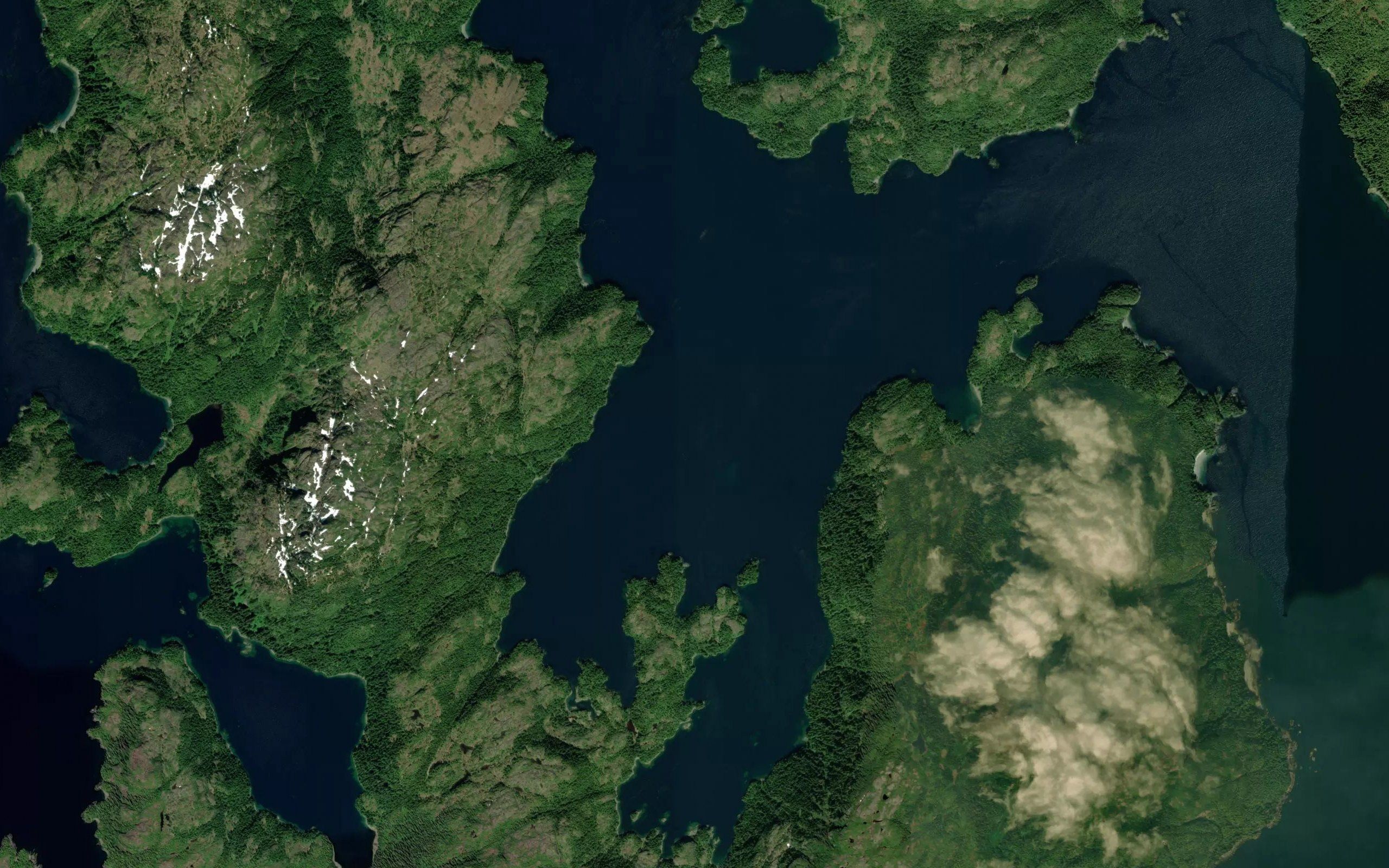 Louis Bay