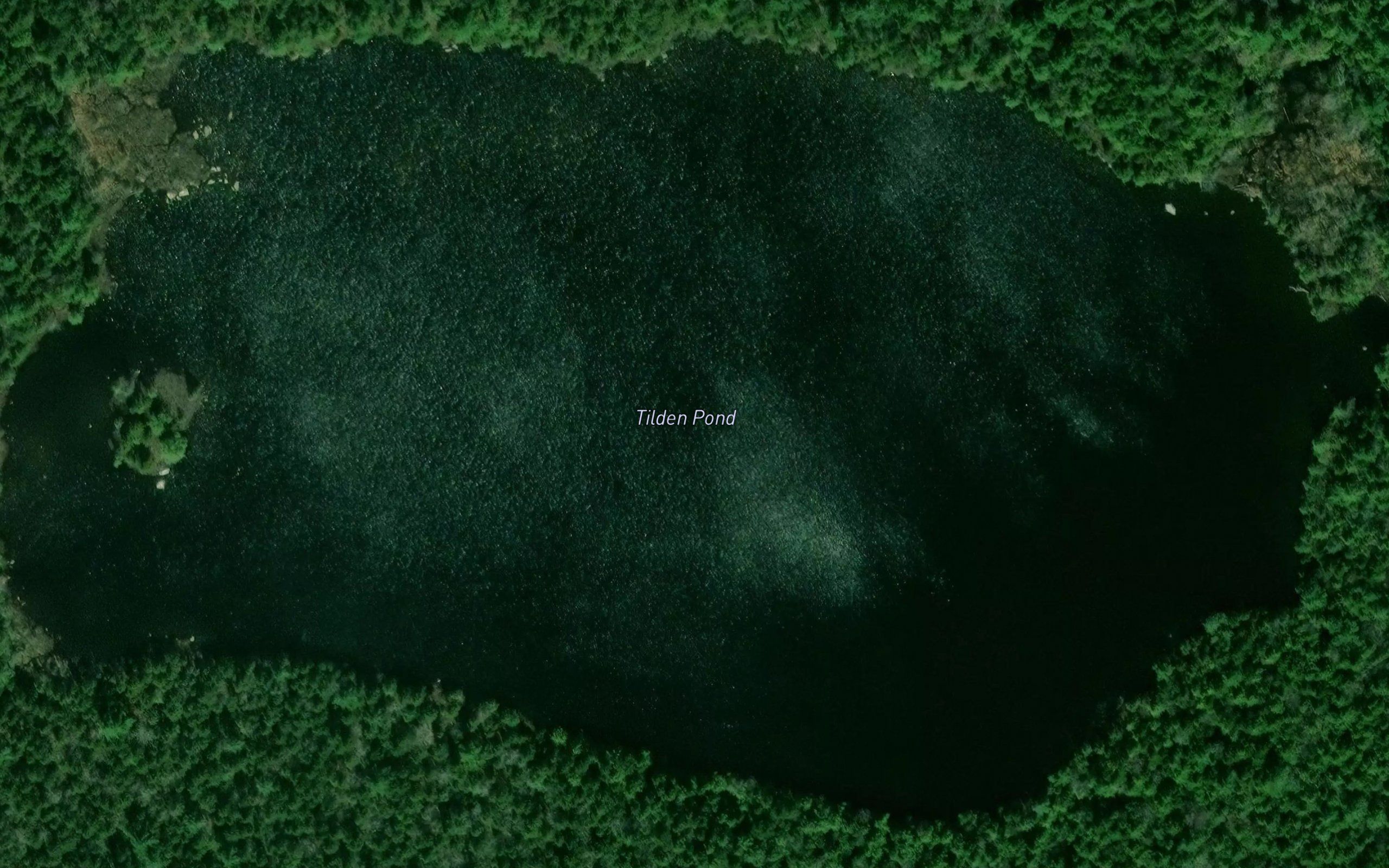 Tilden Pond