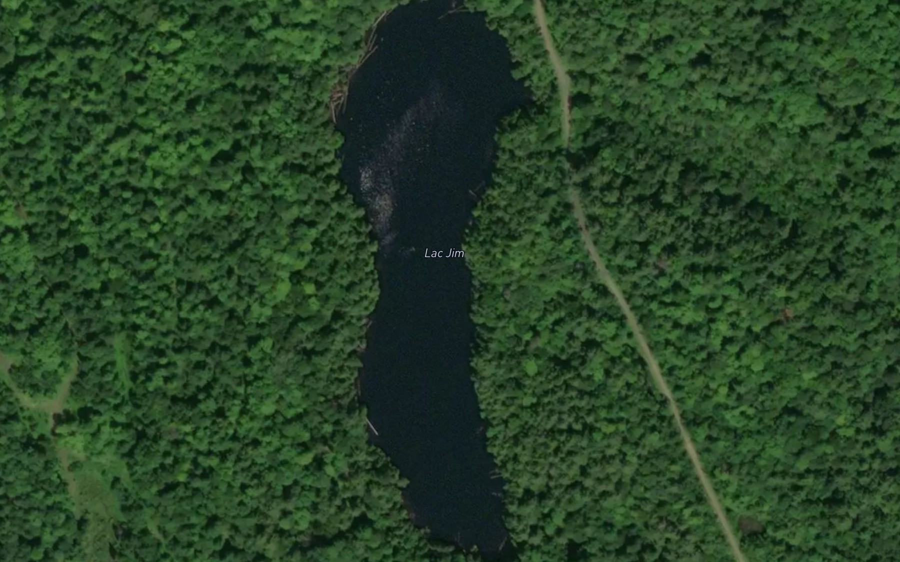 Satellite map of the Lac Jim
