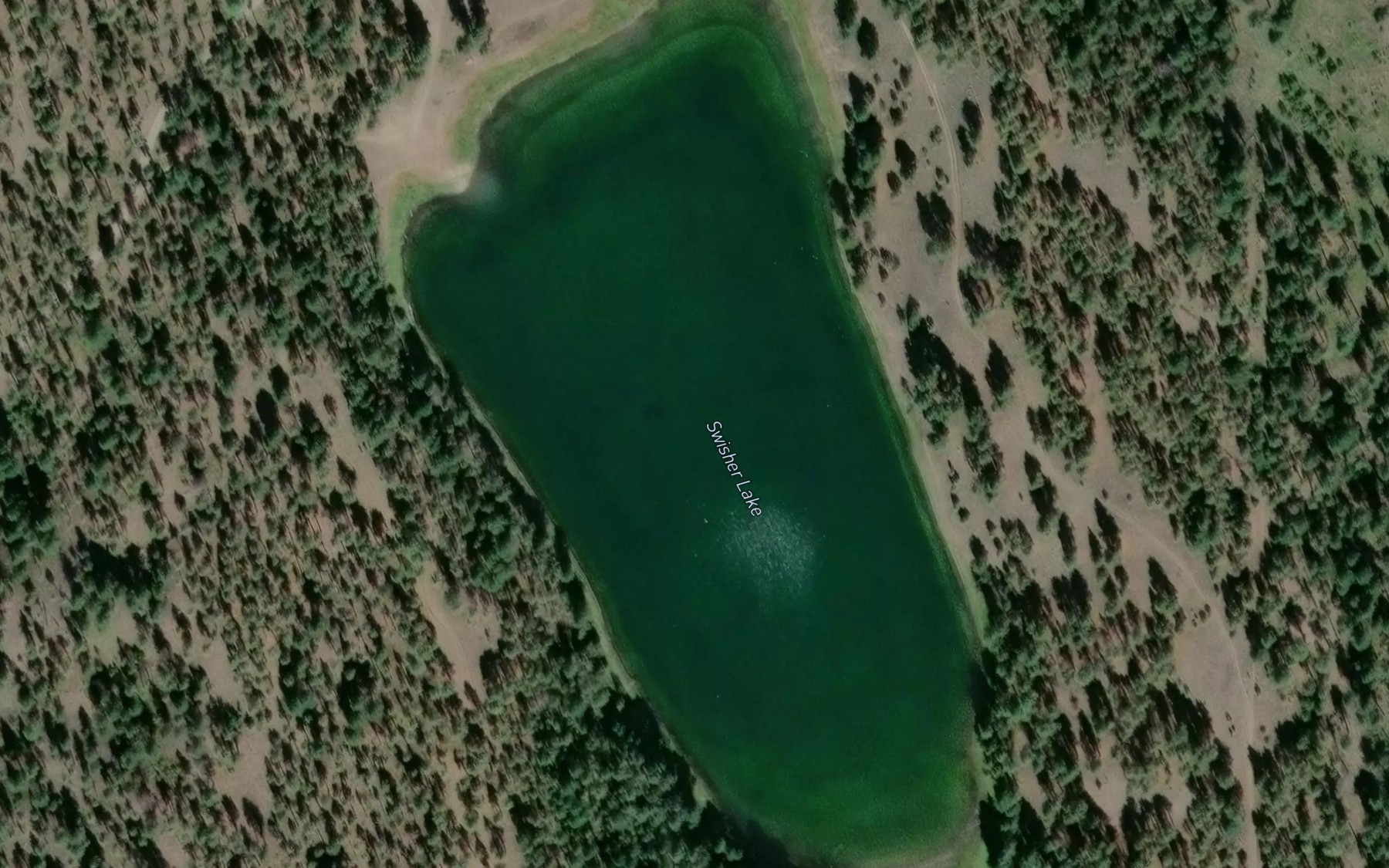 Satellite map of the Swisher Lake