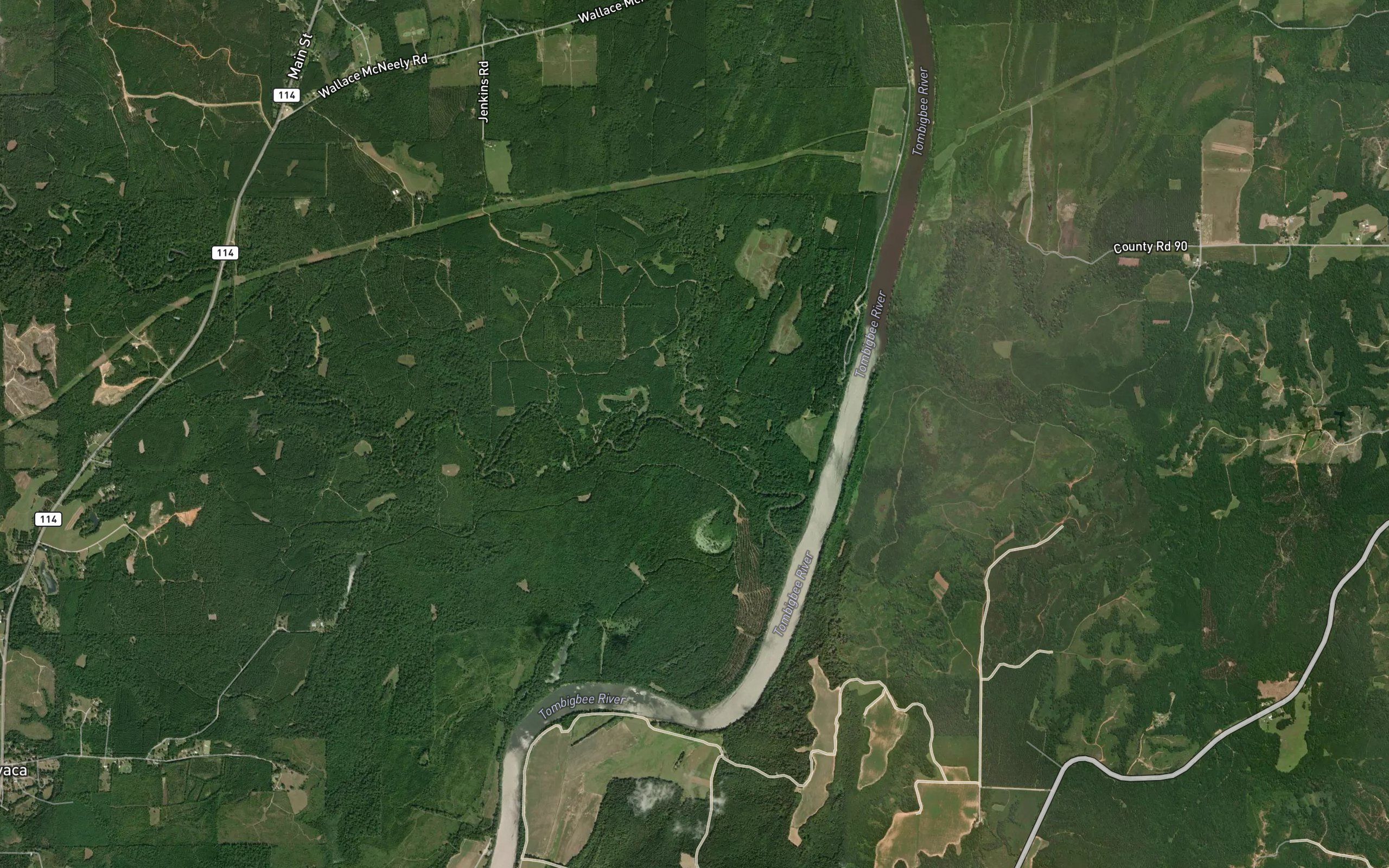 Morgan Branch